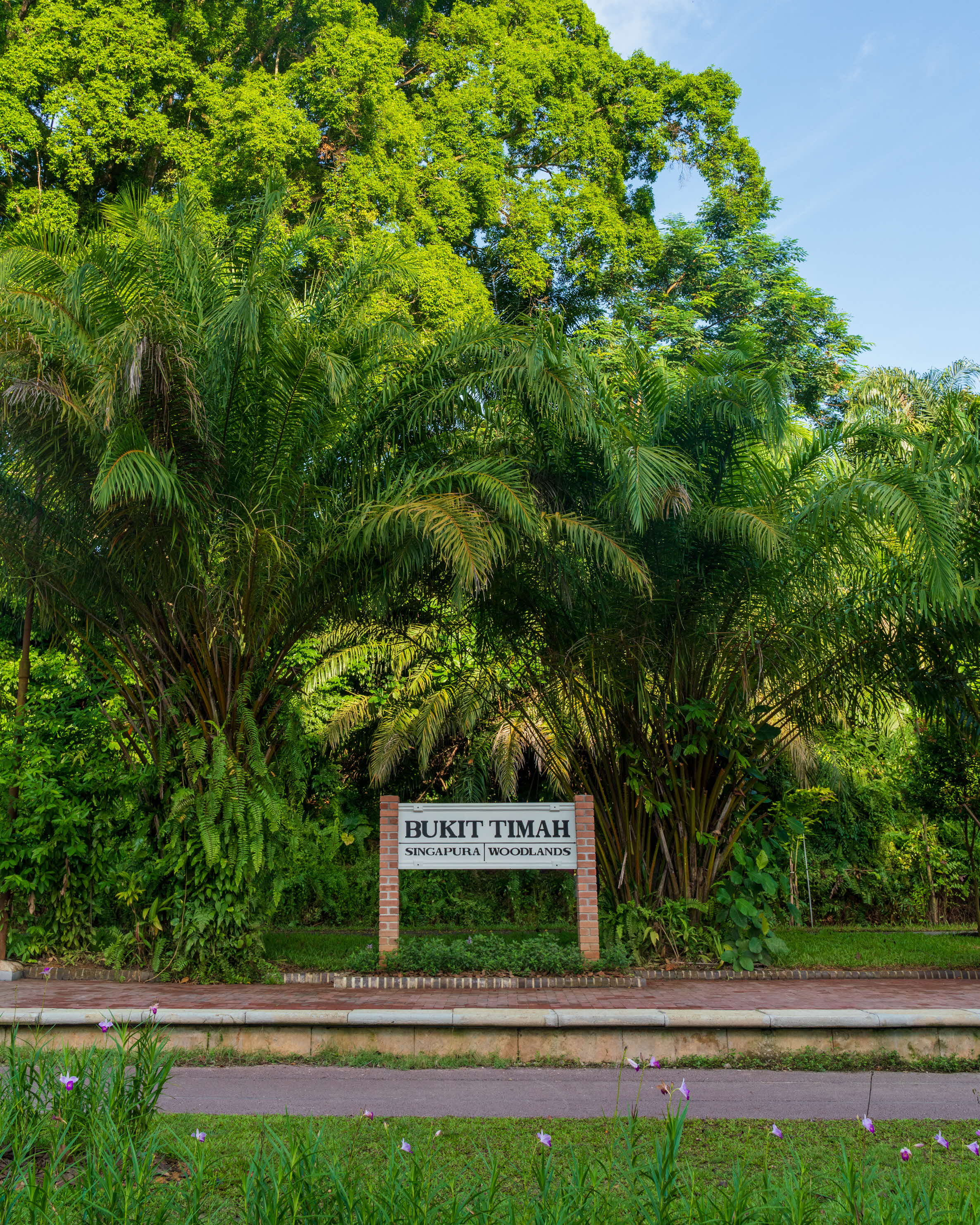 Photo of "Bukit Timah" sign at the Rail Corridor